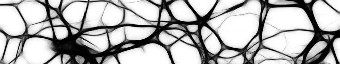 cropped-neurons-440660_12803.jpg