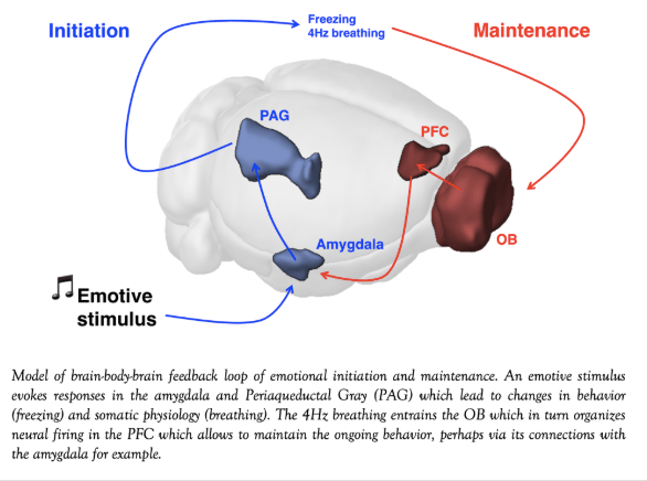 Capture d'écran 2018-11-18 17.53.59